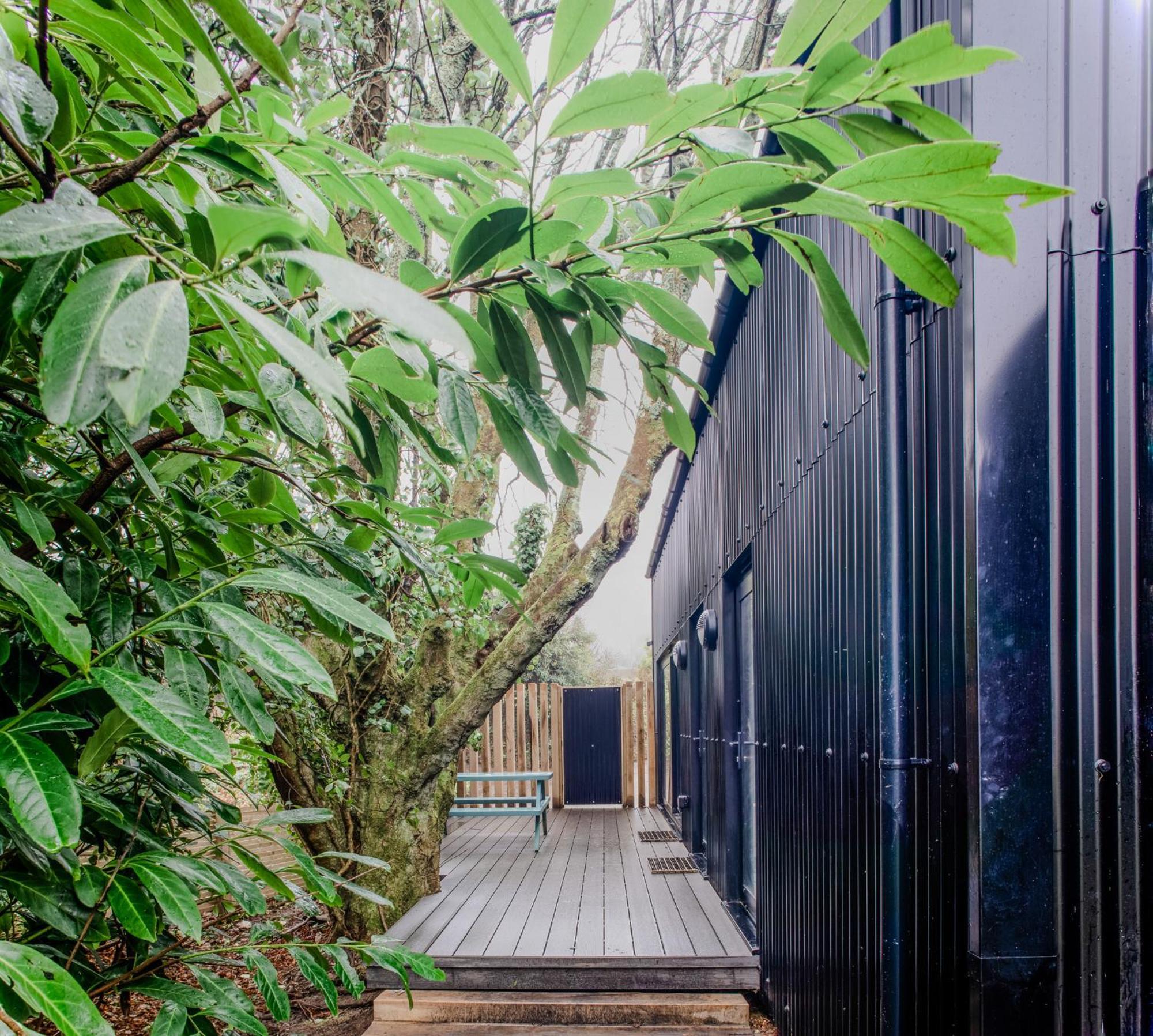 Lowen Tree House Truro Extérieur photo