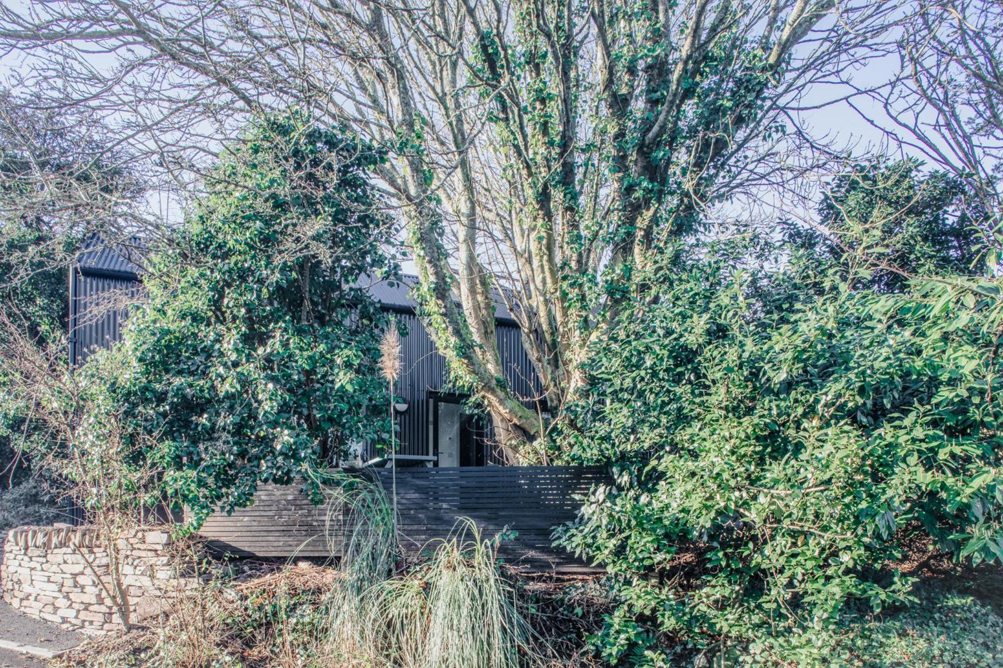 Lowen Tree House Truro Extérieur photo